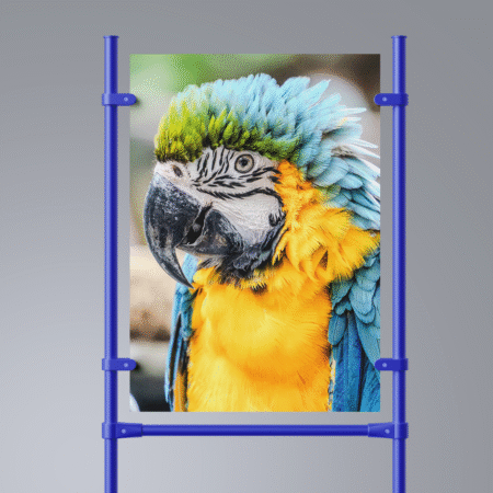 Poster Printing